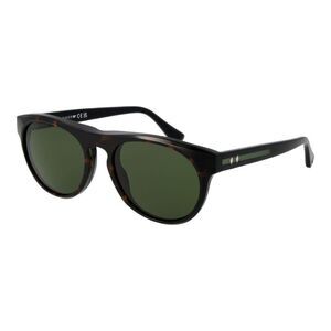 Web Brown Acetate Men's Sunglasses